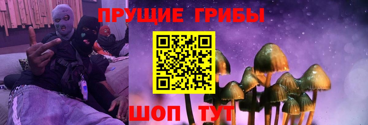 Псилоцибиновые грибы мухоморы Котовск